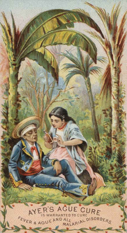 Hombre con malaria de American School