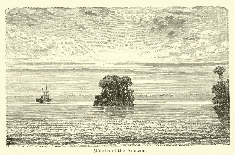 Desembocaduras del Amazonas de American School