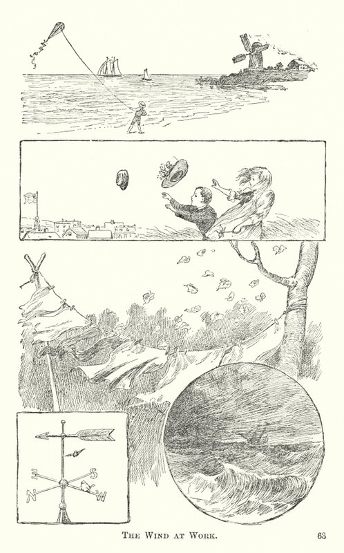 El viento en acción de American School