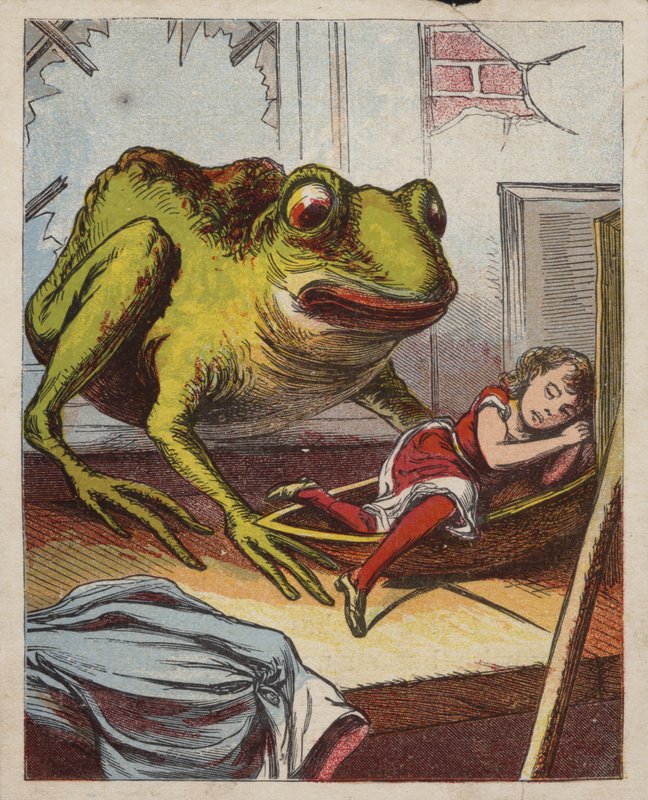 Sapo encuentra a una niña durmiendo de American School