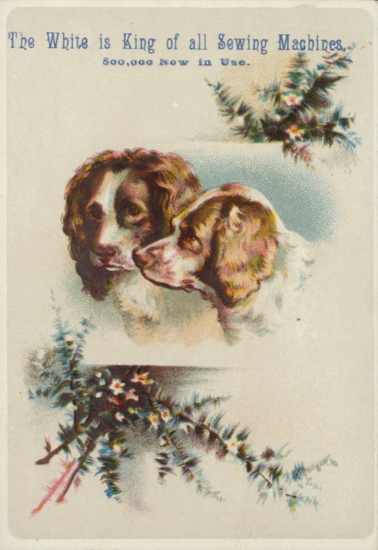 Dos cabezas de perro juntas de American School