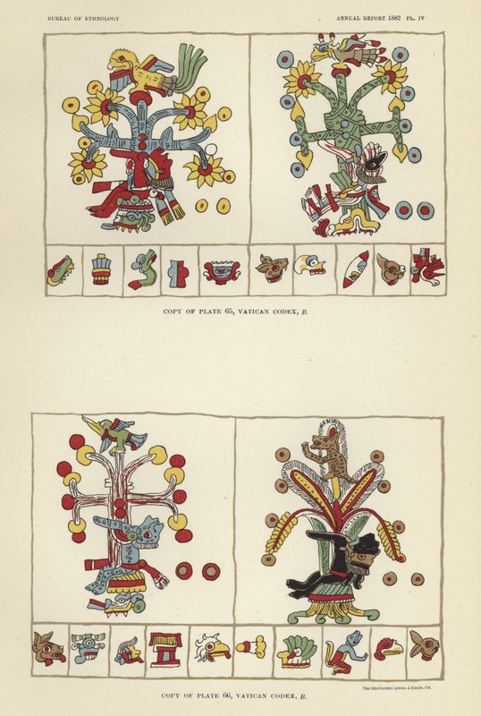 Códice Vaticano de American School