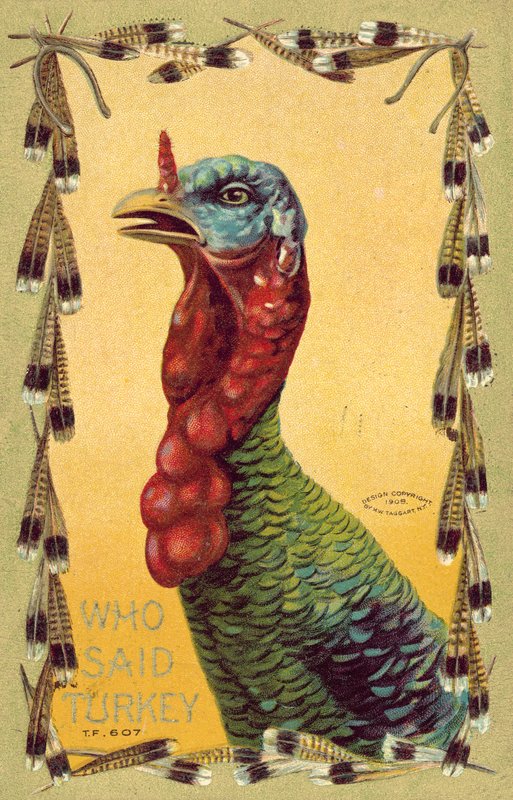 ¿Quién dijo pavo?, tarjeta del Día de Acción de Gracias de American School