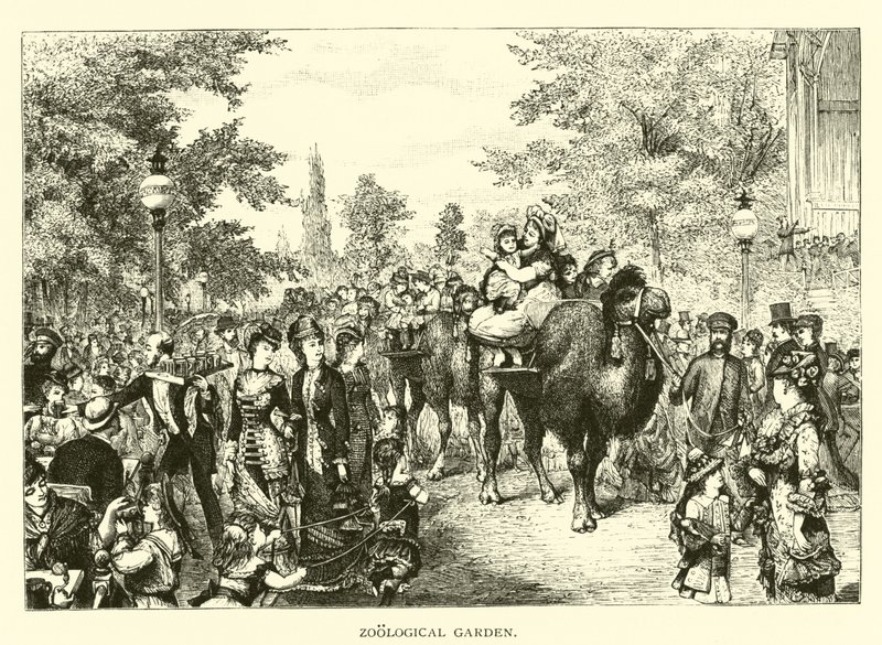 Jardín Zoológico de American School