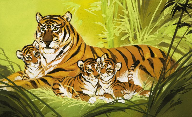 Familia de tigres de Angus McBride