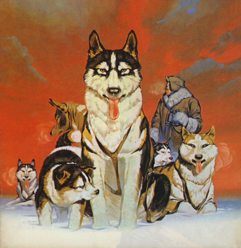 Huskies (litografía en color) de Angus McBride