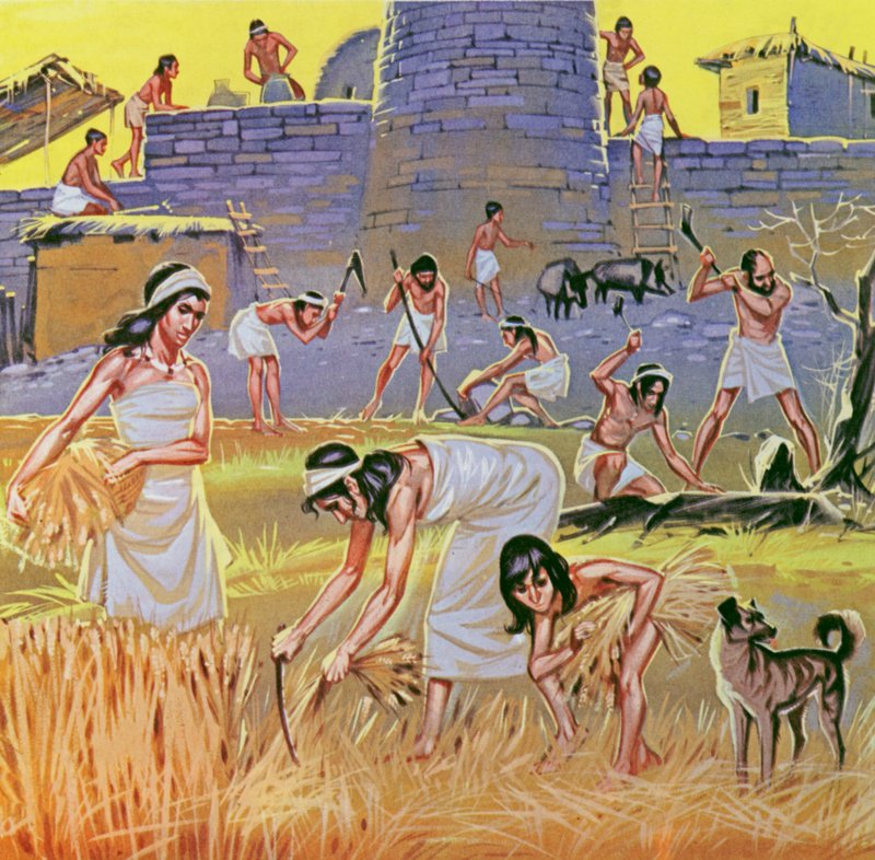 Nuevos granjeros de la Edad de Piedra (litografía en color) de Angus McBride