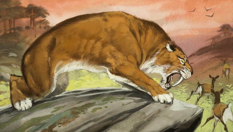 Tigre dientes de sable de caza de Angus McBride