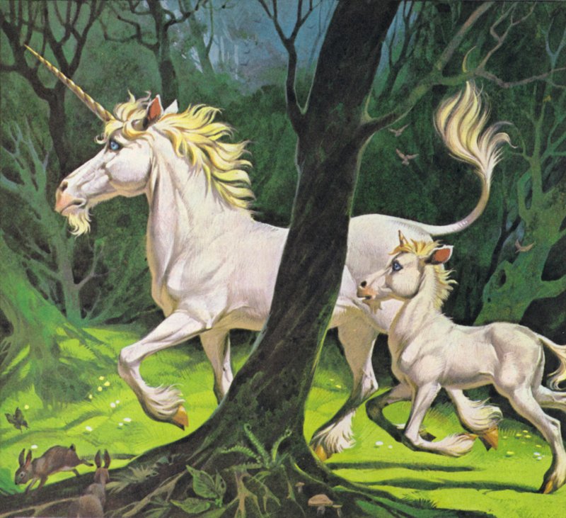 Unicornios (litografía en color) de Angus McBride