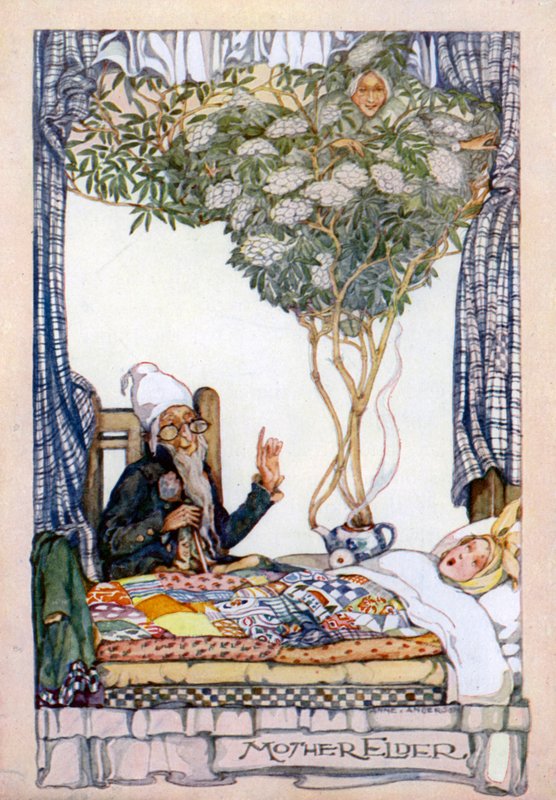 Madre Saúco de Anne after Anderson