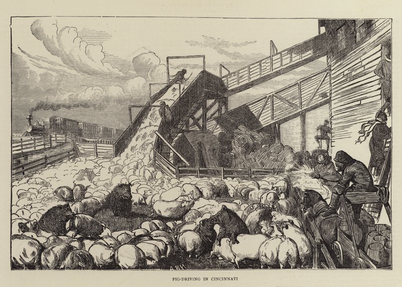 Conducción de cerdos en Cincinnati de Arthur Boyd Houghton