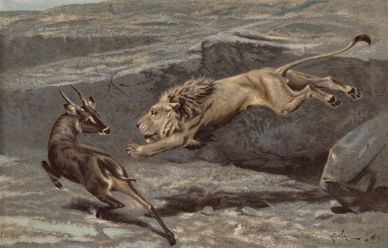 Un ataque nocturno (cromolito) de Arthur Wardle