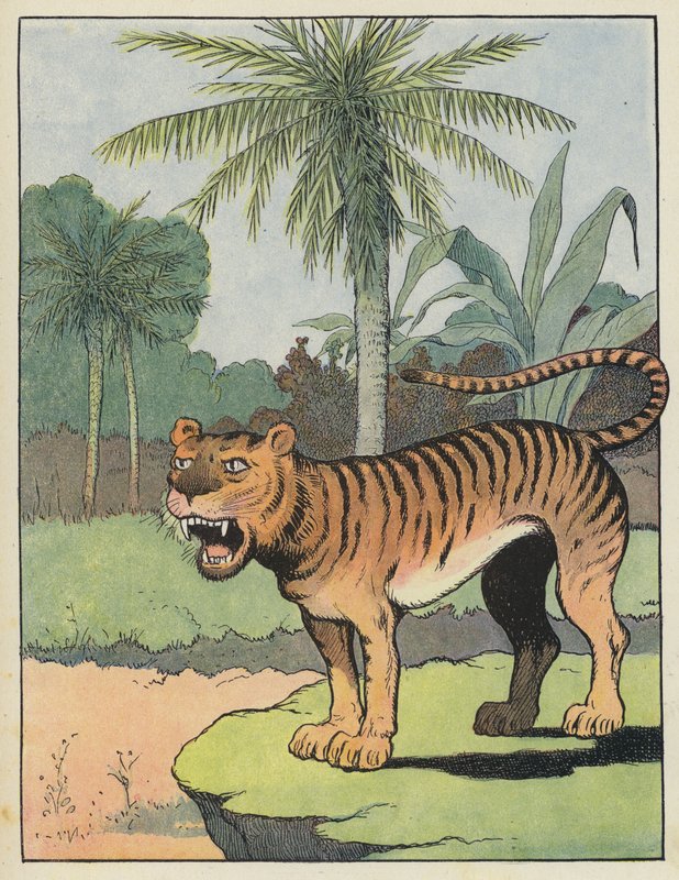 Tigre de Benjamin Rabier