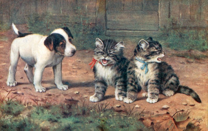 Postal felina (litografía en color) de Bernard Cobbe