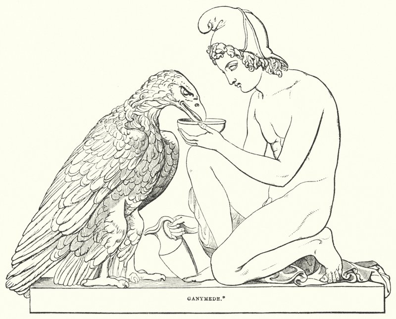 Ganimedes de Bertel after Thorvaldsen