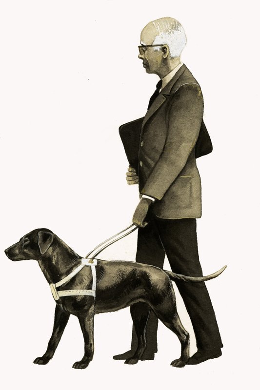 Perro guía para ciegos de Bob Hersey