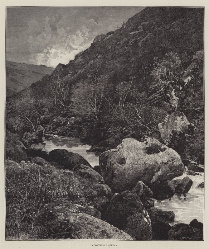 Un arroyo en el páramo de Charles Auguste Loye