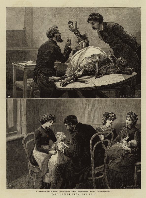 Vacunación de la Vaca de Charles J. Staniland