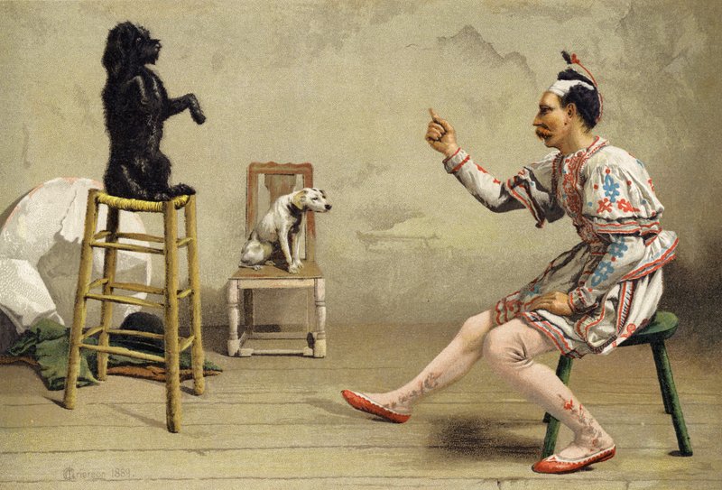 Educación obligatoria de Charles MacIvor or MacIver Grierson
