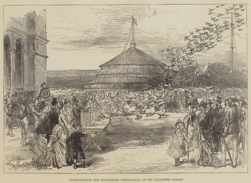 Carreras de palomas internacionales y de toda Inglaterra en el Alexandra Palace de Sir John Charles Robinson