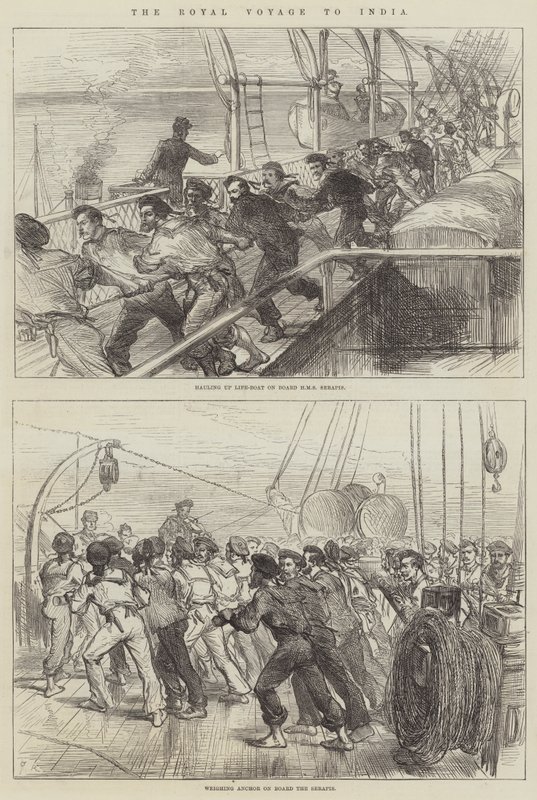 El viaje real a la India de Sir John Charles Robinson
