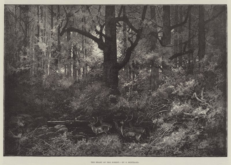 El corazón del bosque de Charles Auguste Loye