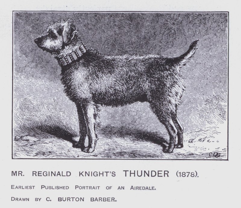 El trueno del Sr. Reginald Knight de Charles Burton (after) Barber