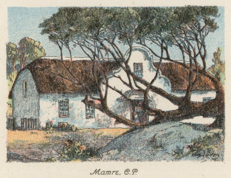 Sudáfrica: Mamre, CP (litografía en color) de Charles Ernest Peers