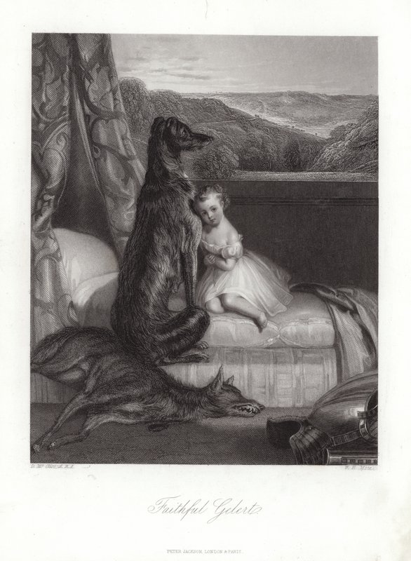 Gelert fiel de Daniel Maclise