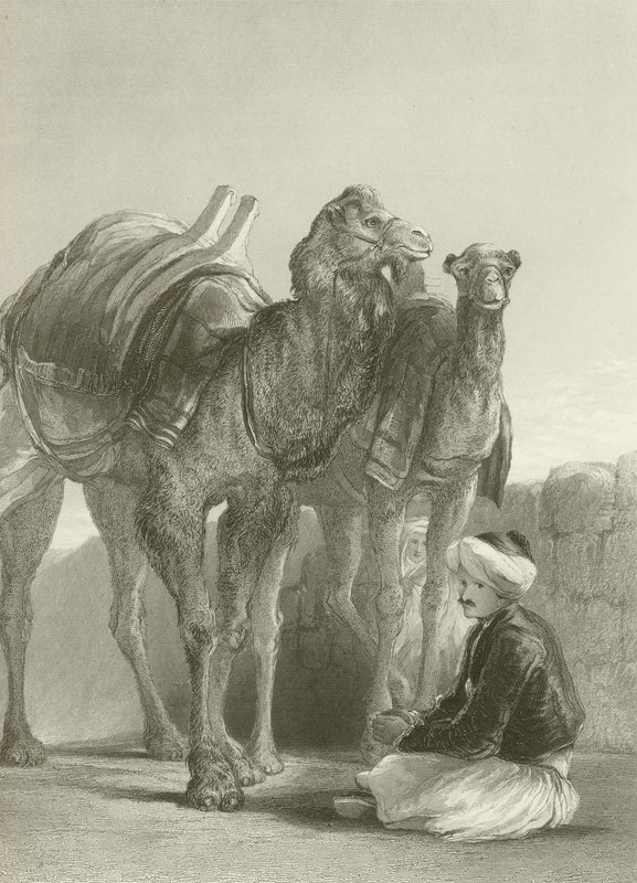 Un grupo de camellos en Esmirna de David Wilkie