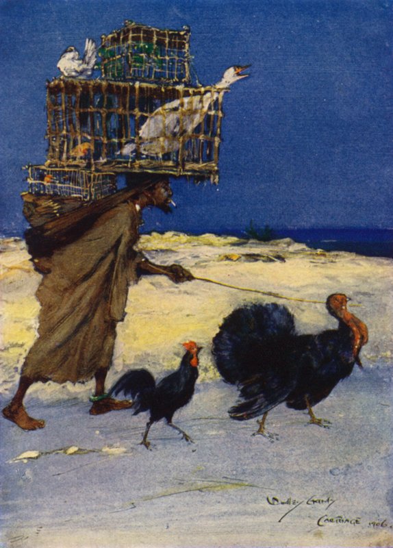 El Aficionado a los Pájaros, Cartago, Túnez de Dudley Hardy