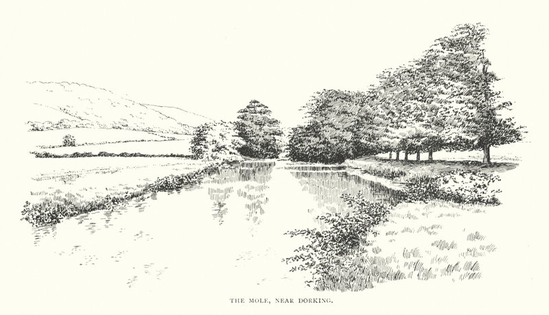 The Mole, cerca de Dorking (litografía) de Duncan Moul