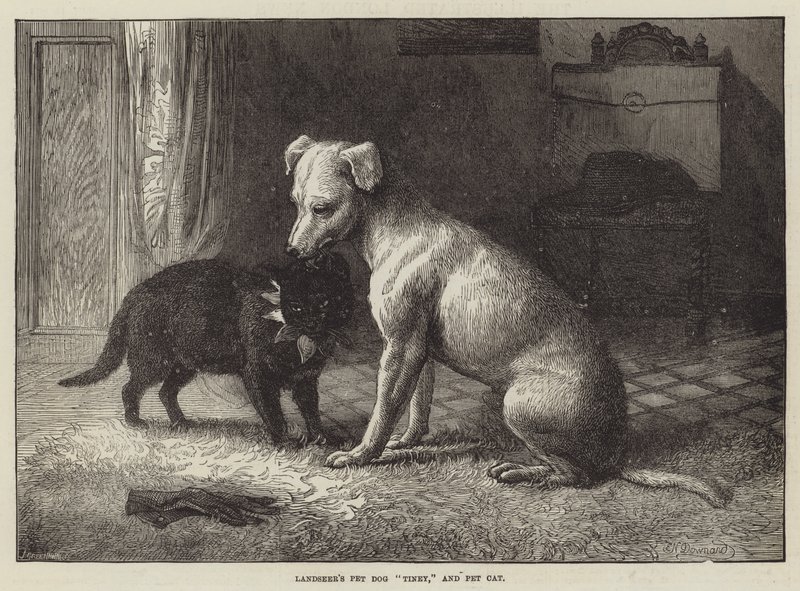 Perro y Gato Mascotas de Landseer de Ebenezer Newman Downard