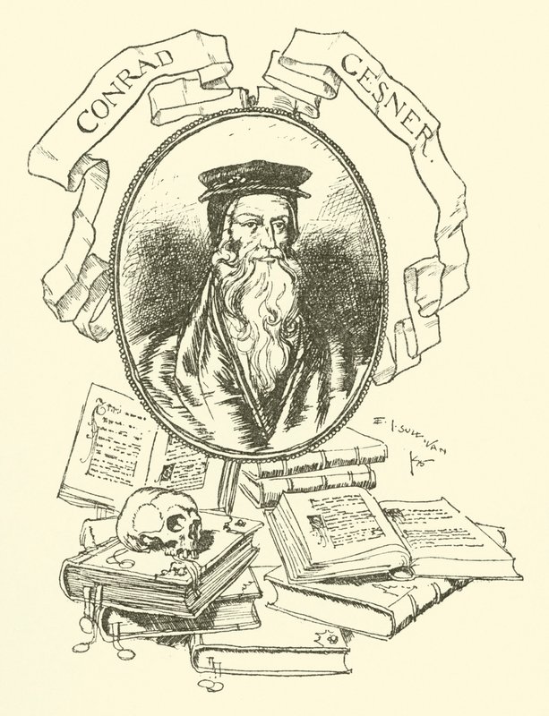 Conrad Gesner de Edmund Joseph after Sullivan