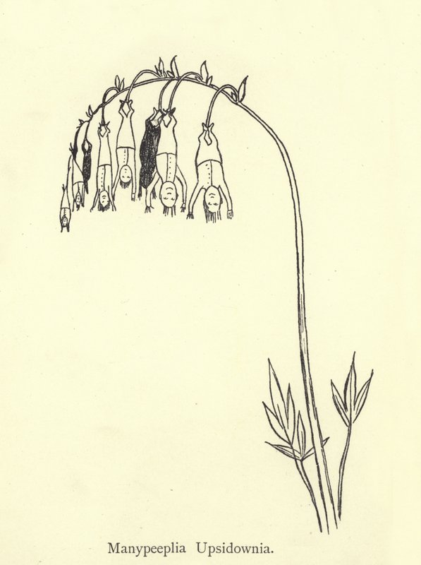 Manypeeplia Upsidownia de Edward Lear