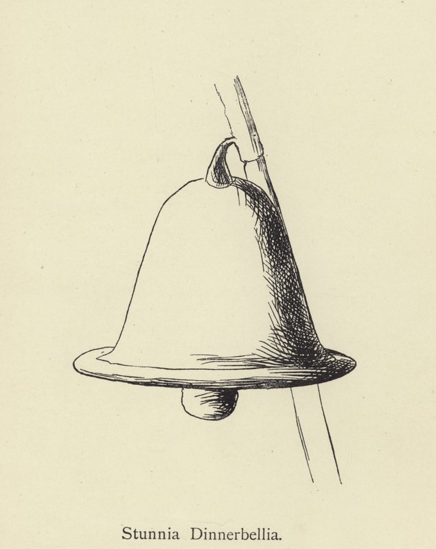 Stunnia Dinnerbellia de Edward Lear