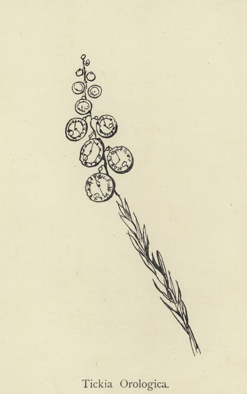 Tickia Orologica de Edward Lear