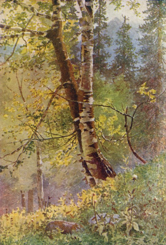 En el bosque de Edward Mary Joseph Molyneux