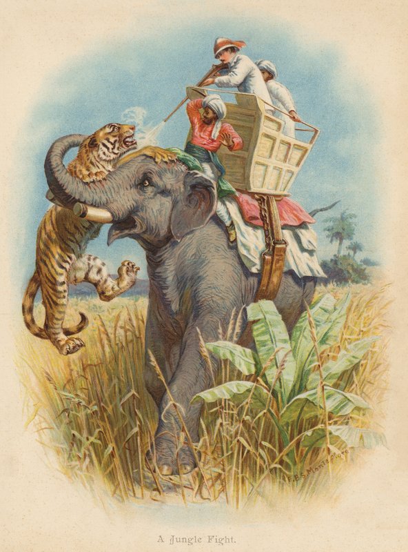 A Jungle Fight (litografía en color) de Edward Brice Montefiore