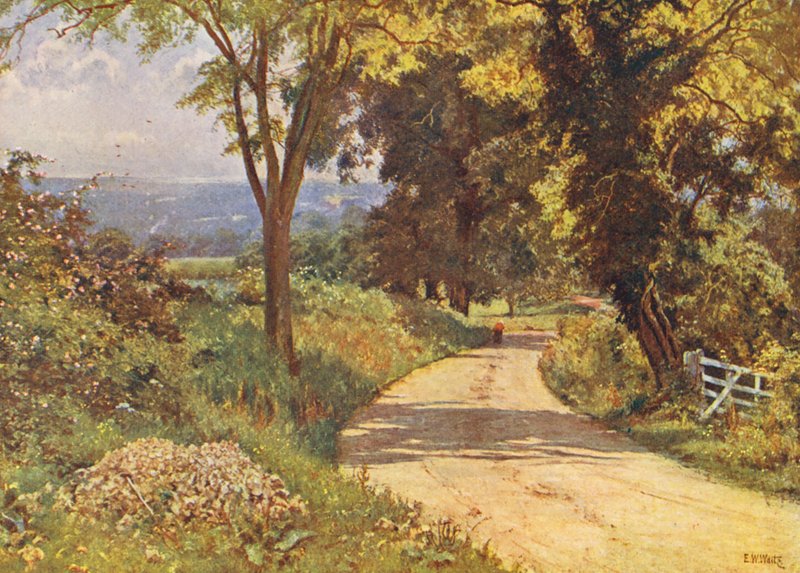 Mi carretera (litografía en color) de Edward Wilkins Waite