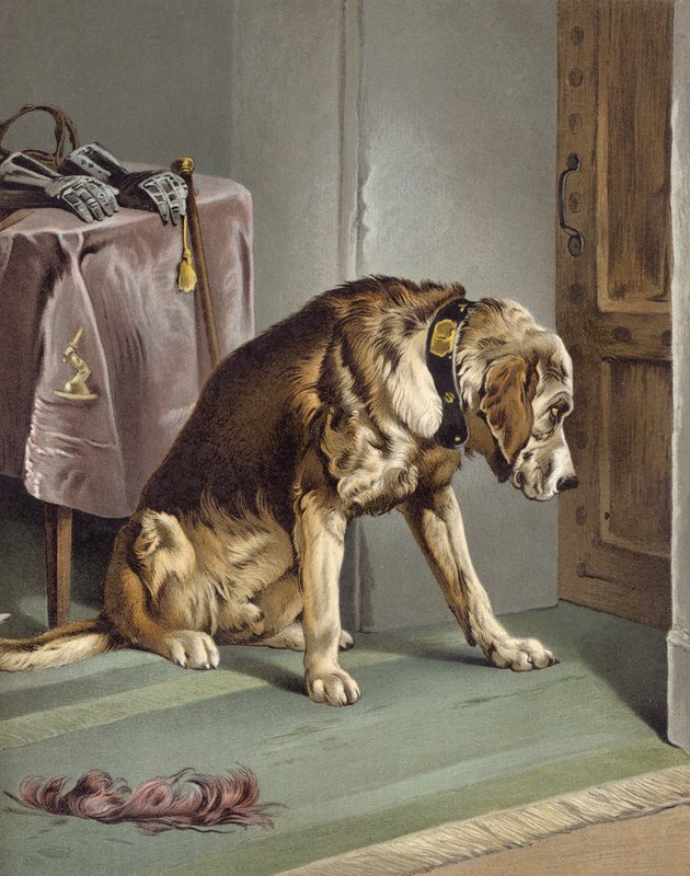 Suspenso de Edwin after Landseer