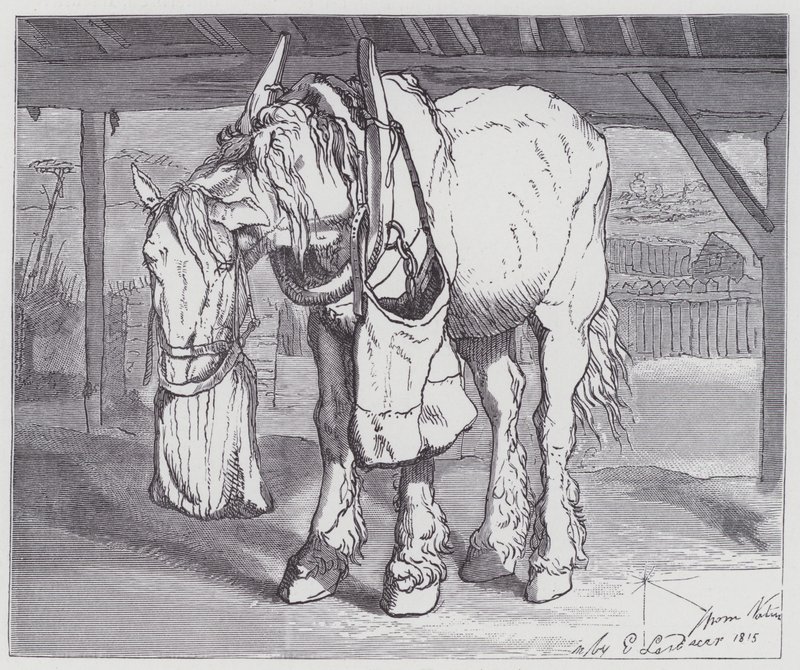 Un Caballo de Tiro de Edwin (after) Landseer