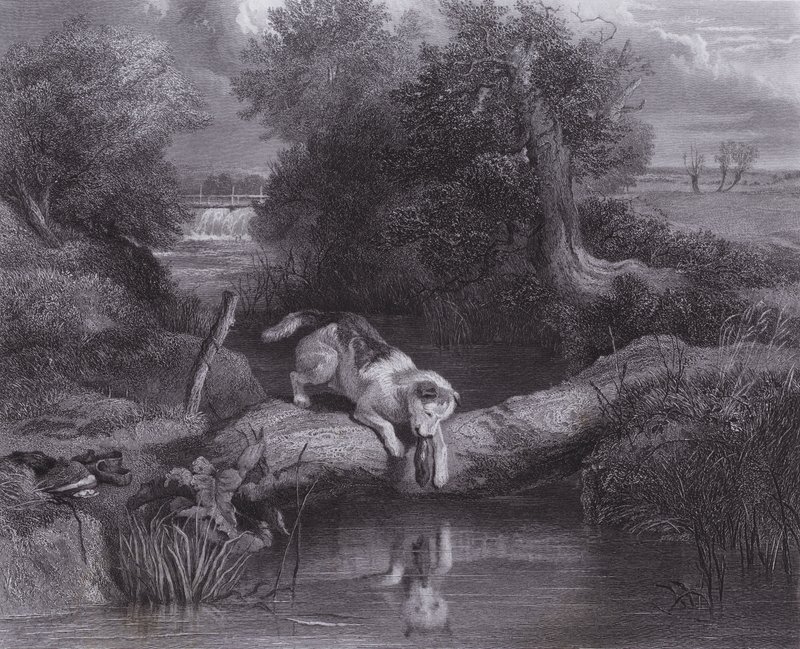 El perro y la sombra de Edwin (after) Landseer