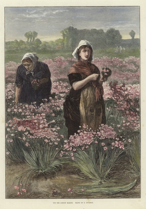 Para el mercado de Londres de Edwin Buckman