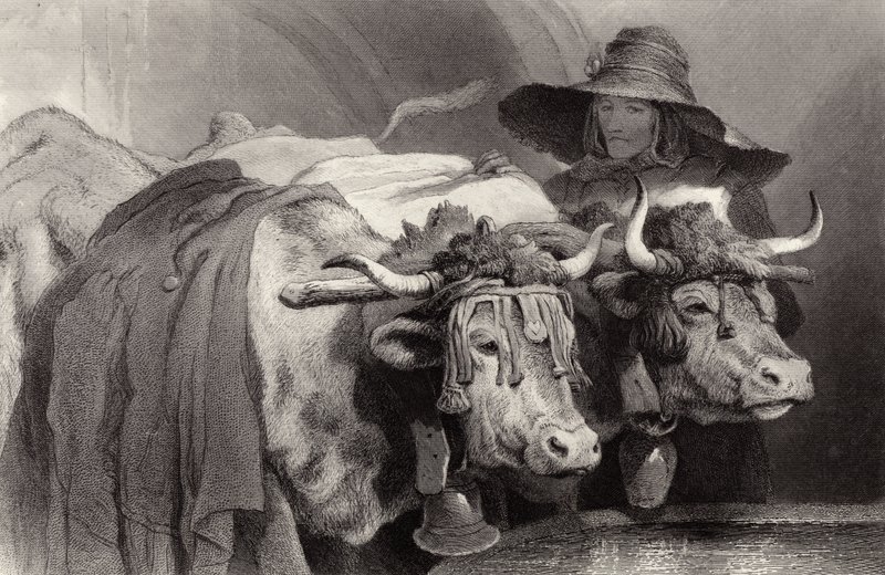 Bueyes en el tanque, Ginebra, Suiza de Edwin Landseer
