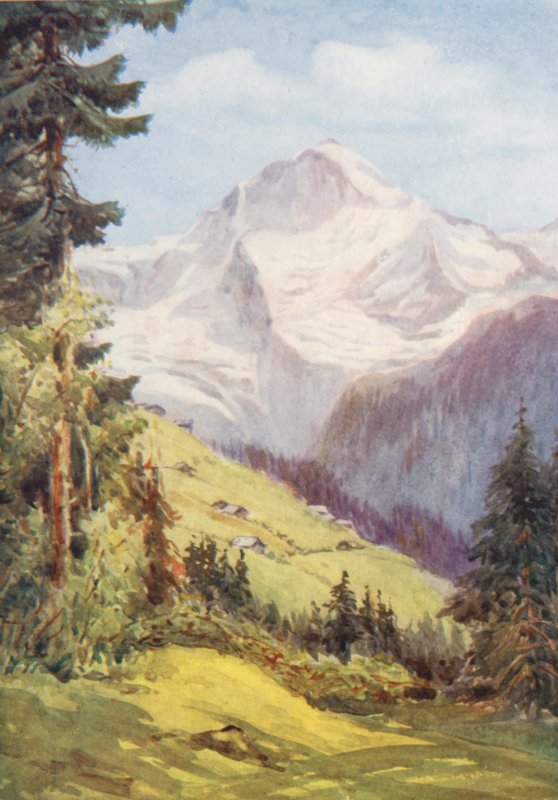 Suiza de Effie Jardine