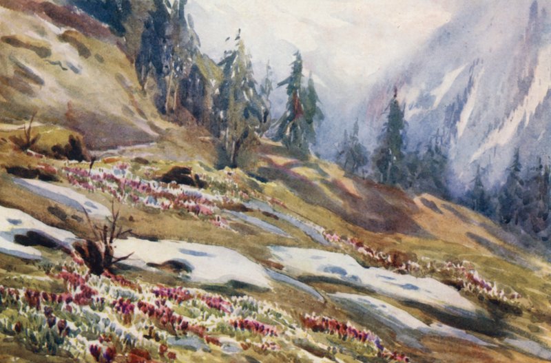 Suiza de Effie Jardine