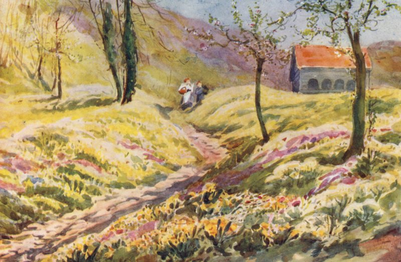 Suiza de Effie Jardine