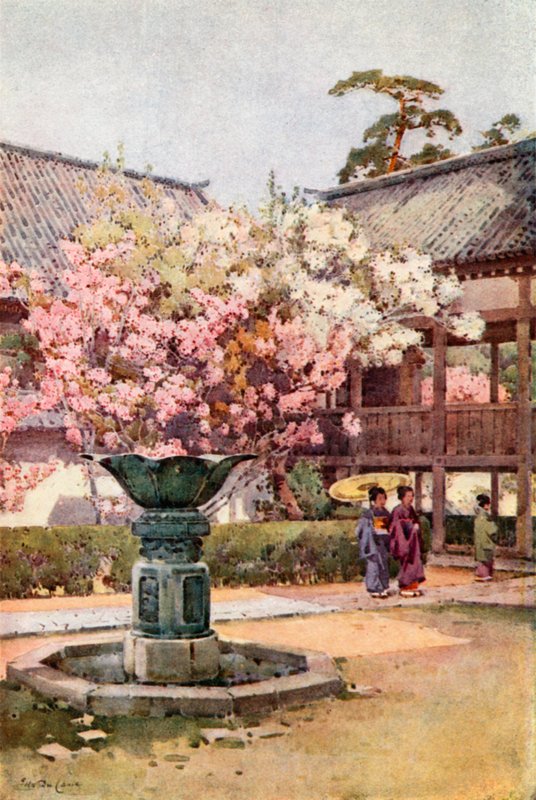 Flor de cerezo, templo Chion-in (litografía en color) de Ella Du Cane