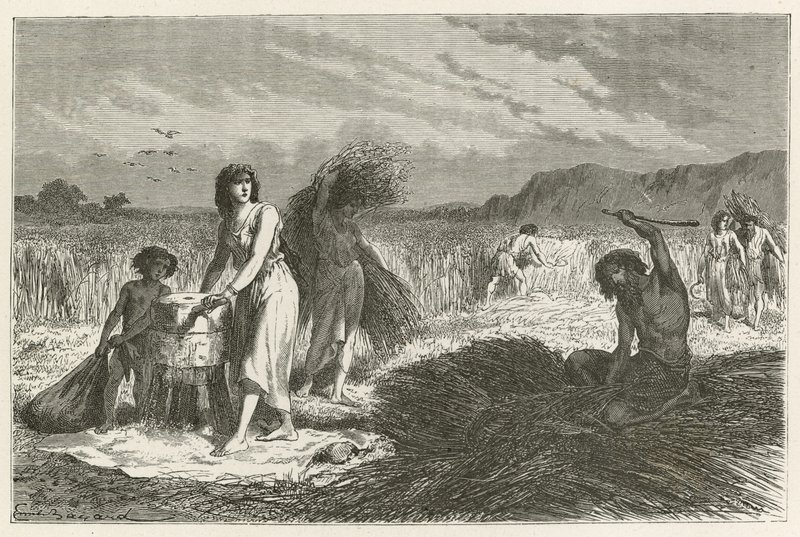 La agricultura en la época del hierro de Emile Antoine Bayard